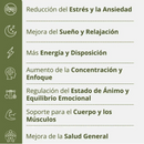Ashwagandha + Magnesium 1000mg (60 cápsulas) – Defensa, Equilibrio y Energía Natural